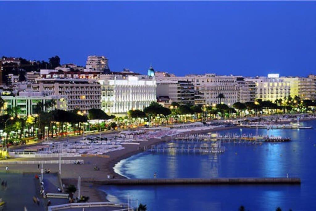 Cannes Palm Beach Parking, Clim, Wifi Plage 2' A Pieds Kültér fotó