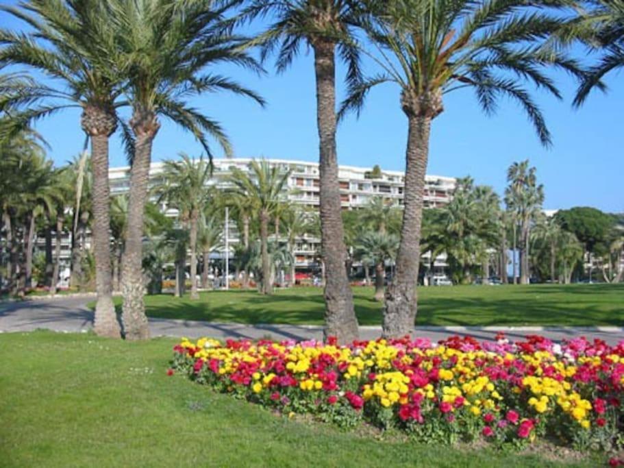 Cannes Palm Beach Parking, Clim, Wifi Plage 2' A Pieds Kültér fotó
